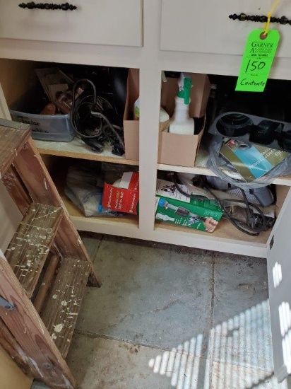Contents of Cabinet & Step Stool