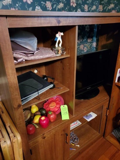 Entertainment Center, TV, & Contents