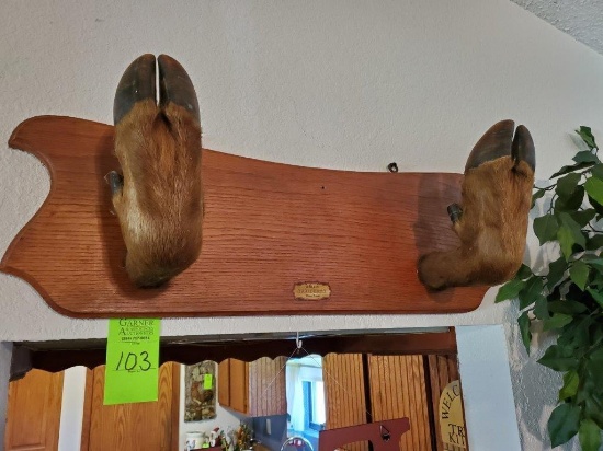 Warren Taxidermy Hooves