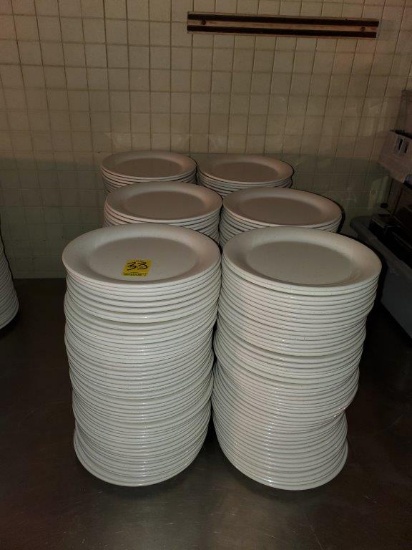 300 Yanco Melamine Plates