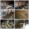 Remaining Contents of Building
