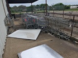 Shopping Buggies