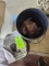Hydroponic Feeder