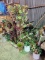 Misc. Artificial Plants & Bamboo Shelf
