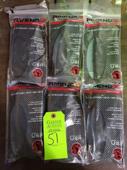 6 - Amend 2 30 Round AR-15 Magazines