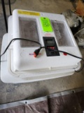 Little Giant Egg Incubator & Crate