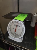 Detecto Scale