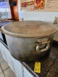 Large Stock Pot with Lid 28