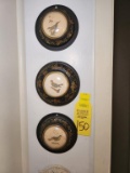 3 Small Round Bird Pictures