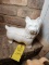 Dog Cookie Jar