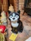 Cat Cookie Jar