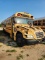 2010 Blue Bird Bus #147 - Cummings Diesel - Unknown Miles