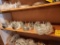 4- Wheel Adaptors - 2nd Shelf