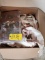 Box of Misc. Figurines