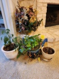 Plants- 3 Live, 1 Artificial Centerpiece