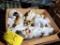 Box of Figurines