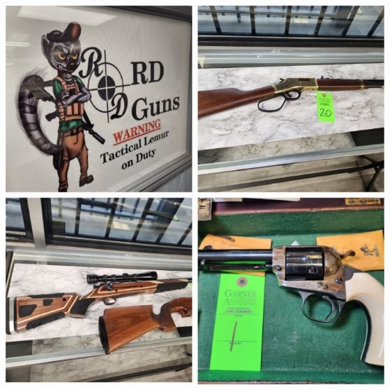 RD Guns Liquidation Auction #1