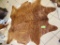 Brown Brindle Cowhide Rug
