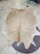 Champagne Cowhide Rug