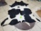 Black & White Cowhide Rug