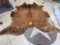 Exotic White Belly Cowhide Rug