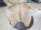 Champagne Cowhide Rug