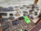 Misc. Belt Buckles - Contents of 3rd Shelf