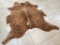 Exotic White Belly Cowhide Rug