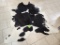 Black & White Cowhide Rug