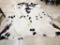 Cowhide Rug