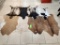 8 Misc. Hides