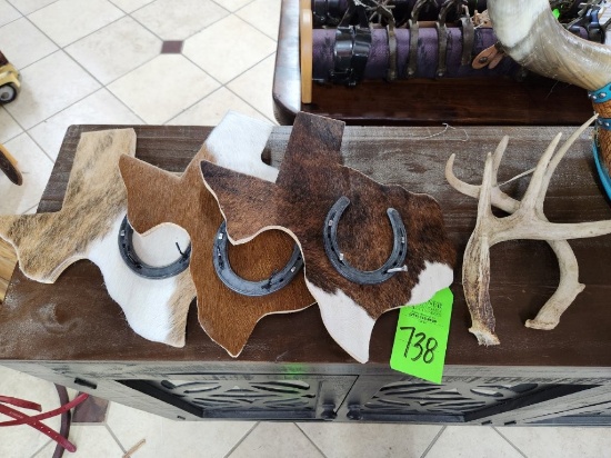 3 Antlers, & Decorative Cowhide Texas