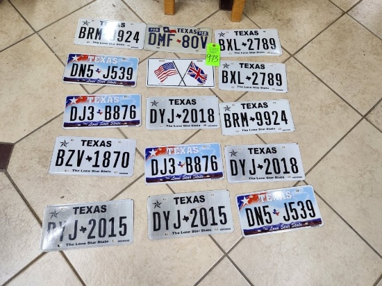 License Plates 15 ct.