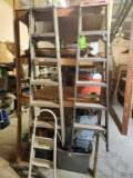 Werner Ladder 6', 6' Ladder, & Step Ladder