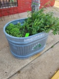 Metal Trough