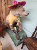 Life-sized Bear Full Taxidermy Mount