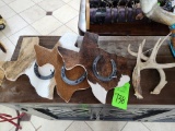 3 Antlers, & Decorative Cowhide Texas