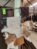 Rack & Hides