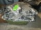 Tote of Zebra Halters