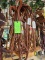 Headstall w/ Reins 5 ct.