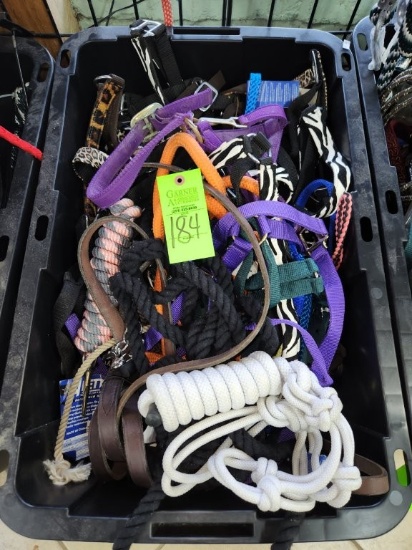 Leads, Halters, Reins, & Misc.