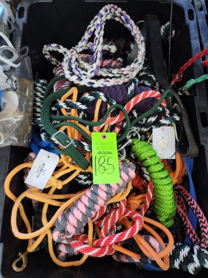 Leads, Reins, & Misc.