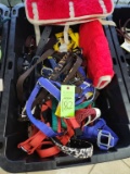 Halters & Misc. Tote