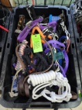 Leads, Halters, Reins, & Misc.