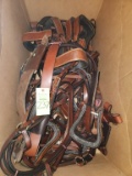 Halters, Reins, Stirrup Straps, & Stirrups