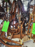 Show Halters 5 ct.