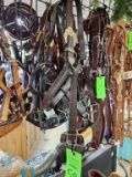 Show Halters 5 ct.