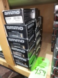 Ammo Inc. 10  mm Hollow Point - 17 ct.