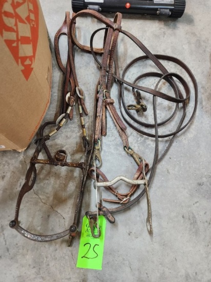 Halters (2 ct.)