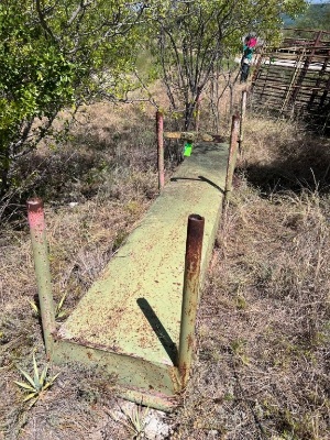 Cattle Feeder